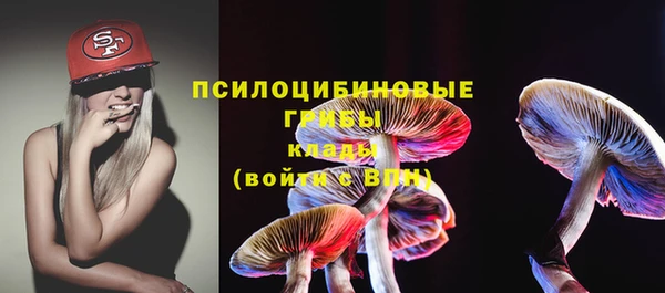 гашик Ветлуга