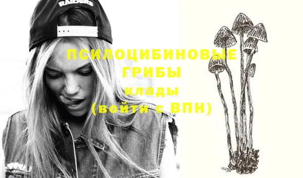 MESCALINE Надым