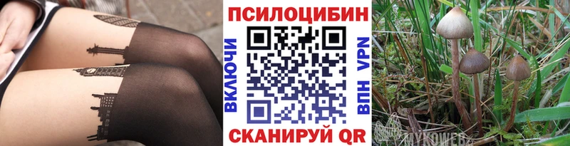 купить наркотики сайты  Закаменск  OMG ONION  Псилоцибиновые грибы прущие грибы 